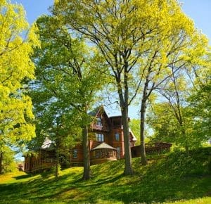 Brick house surrounded by lush green trees.