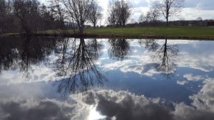 Trees and clouds reflected in calm water.