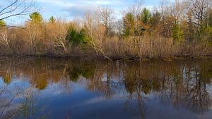 Calm river reflecting trees in autumn scenery.